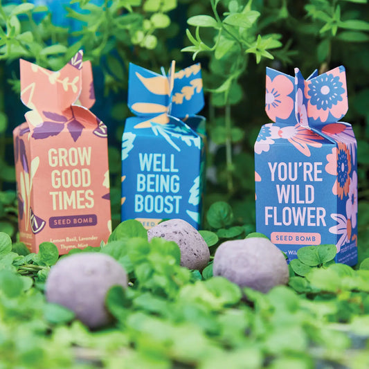 Seed Bomb
