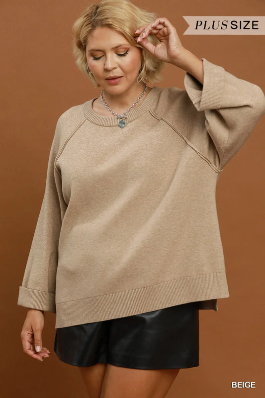Beige Crewneck Pullover Sweater Knit Top