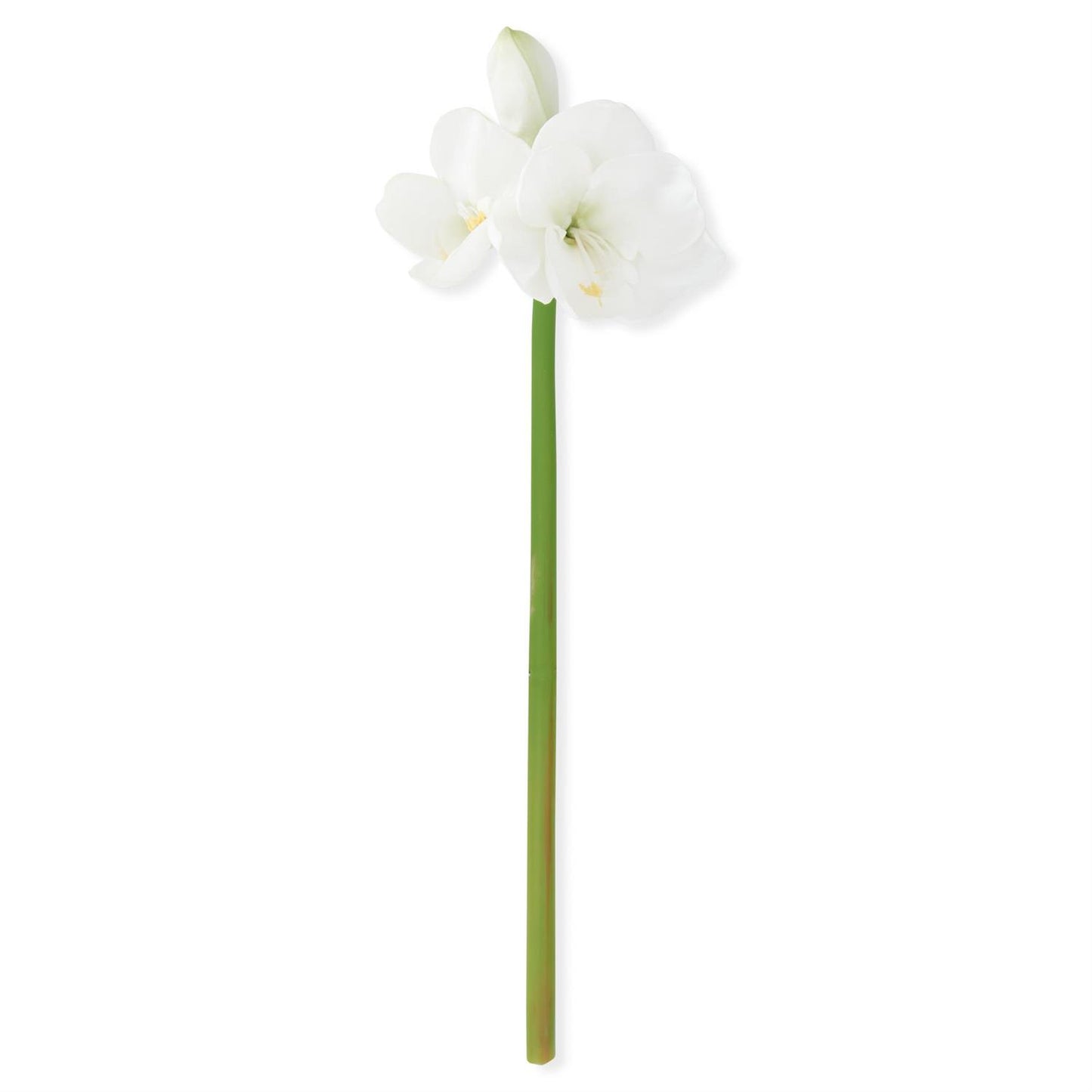 28 inch Real Touch White Amaryllis Stem