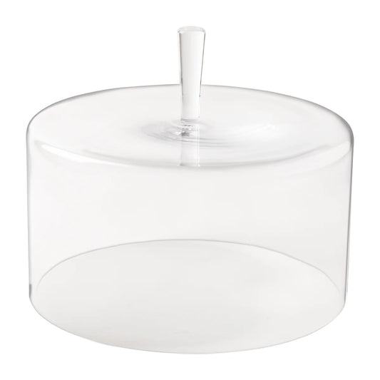 Large Glass Dome Coupole