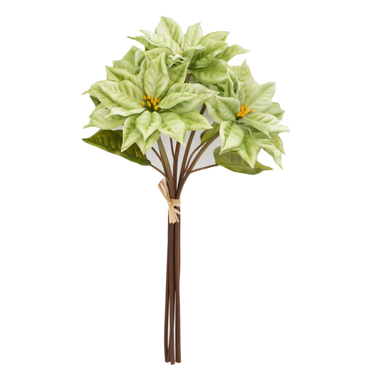 Real Touch Light Green Poinsettia Stem Bundle  (5 stems)