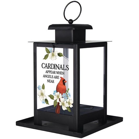 Cardinals Appear When Angels Are Near Birdfeeder
