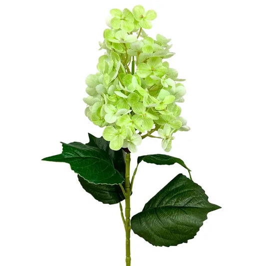 Fresh Touch Cone Hydrangea Stem - Green - 29”