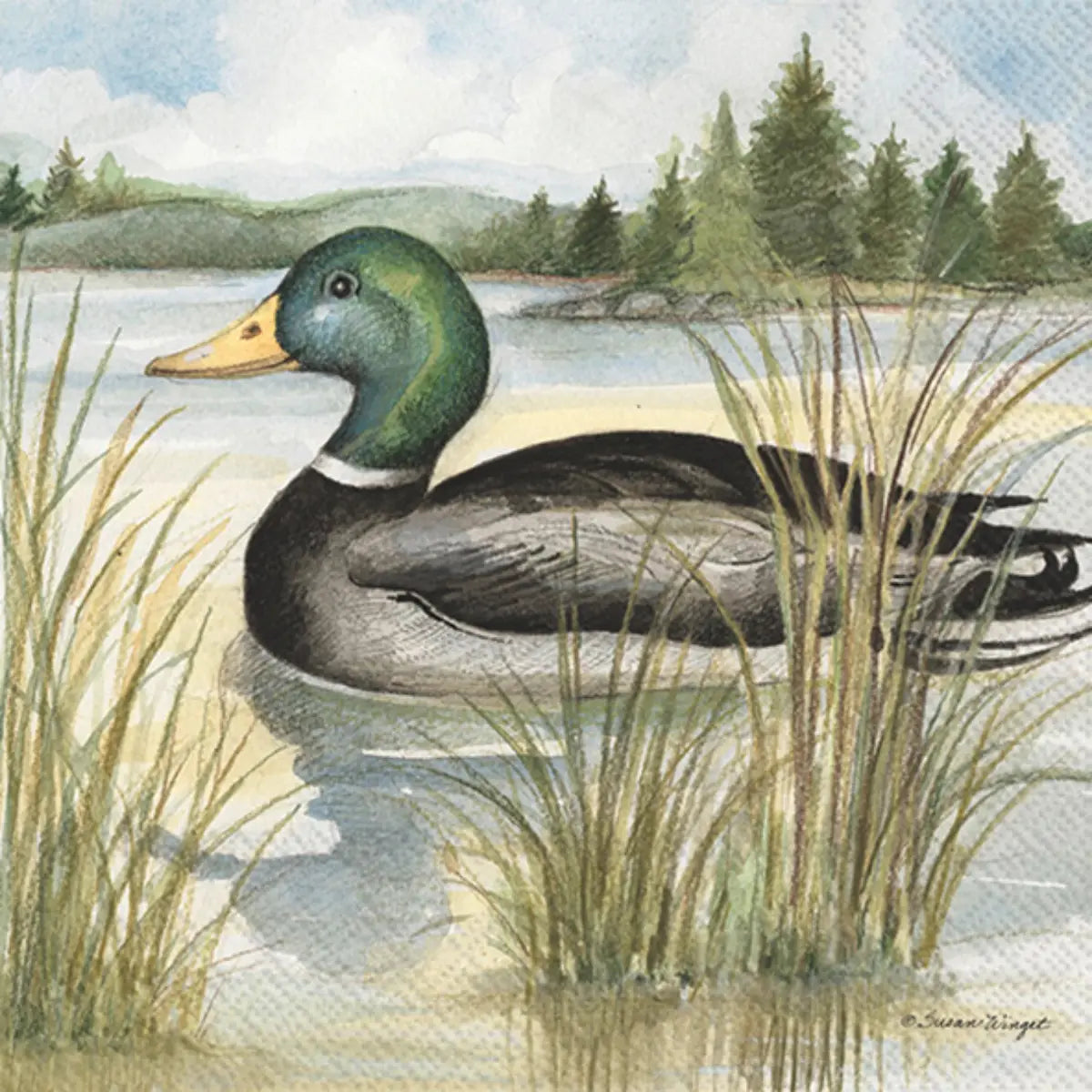 Mallard Duck Cocktail Napkins