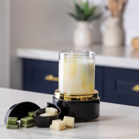 Black & Gold 2-in-1 Spilt Dish Warmer
