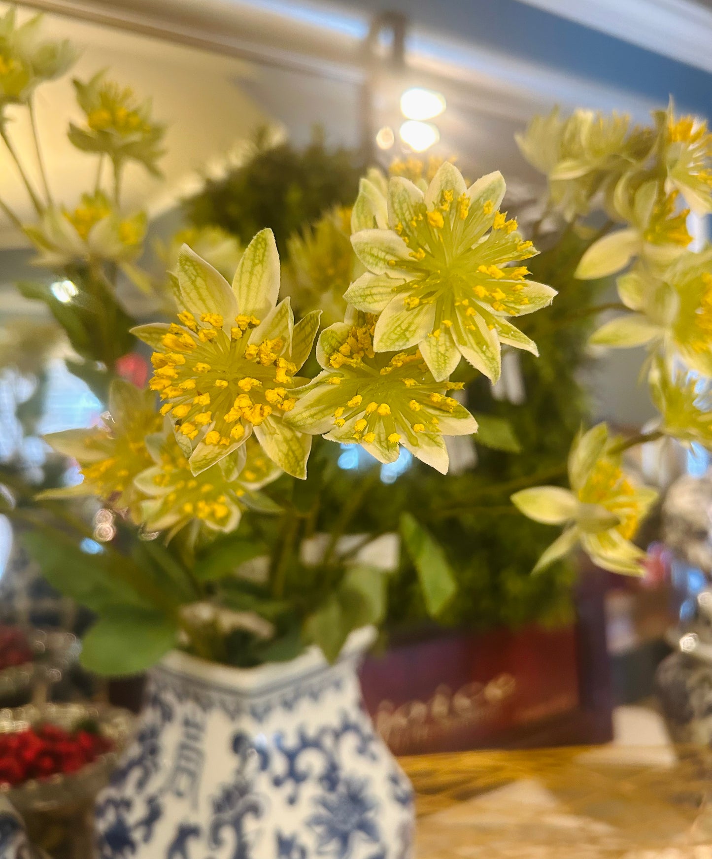 Armeria Spray