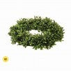 PL.AMERICAN BOXWOOD CANDLERING 14" 8"ID UV OK