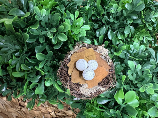 Miniature Nest with Eggs