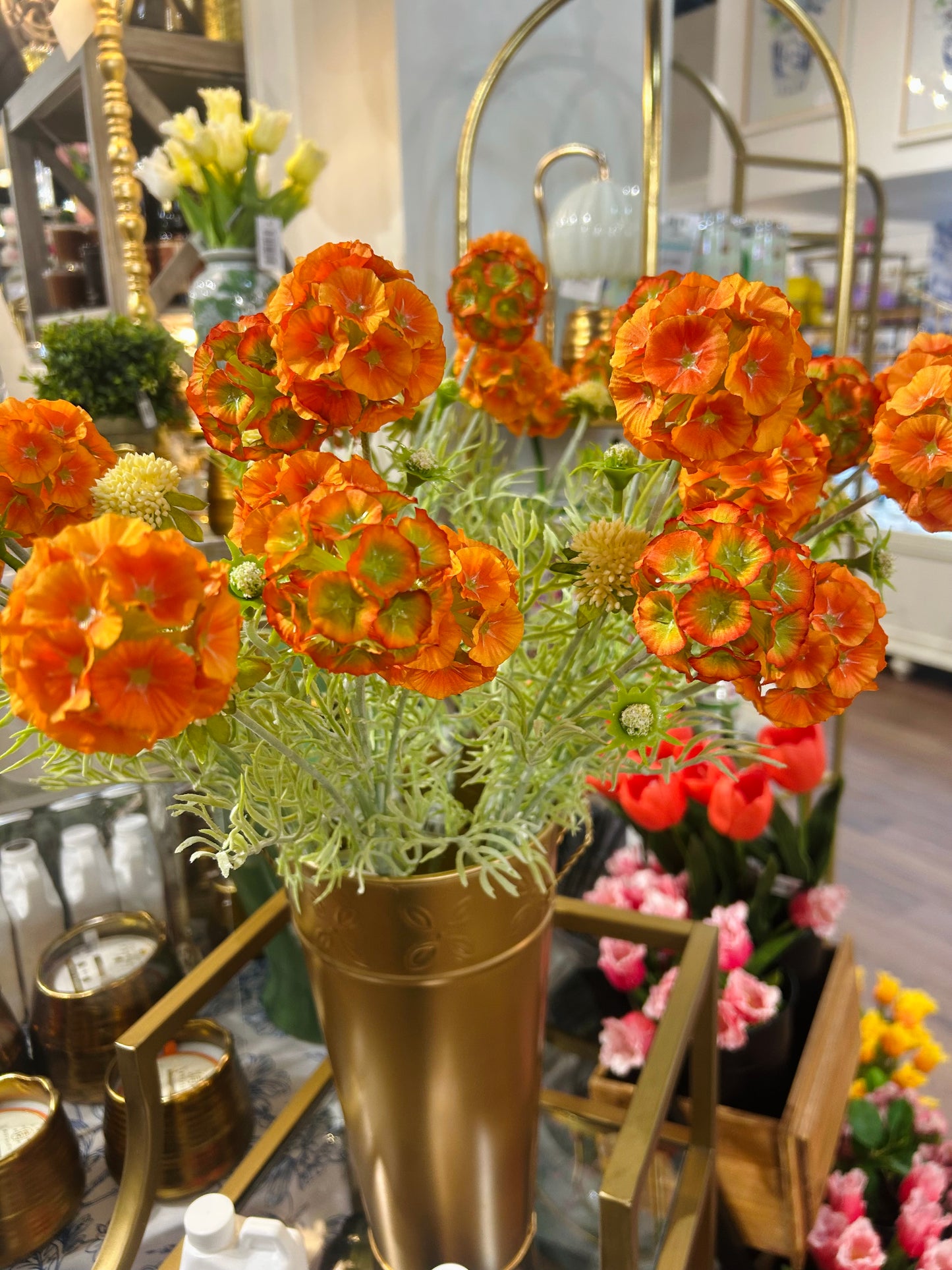 SCABIOSA ORANGE POD SPRAY X4 +BUDS 24"
