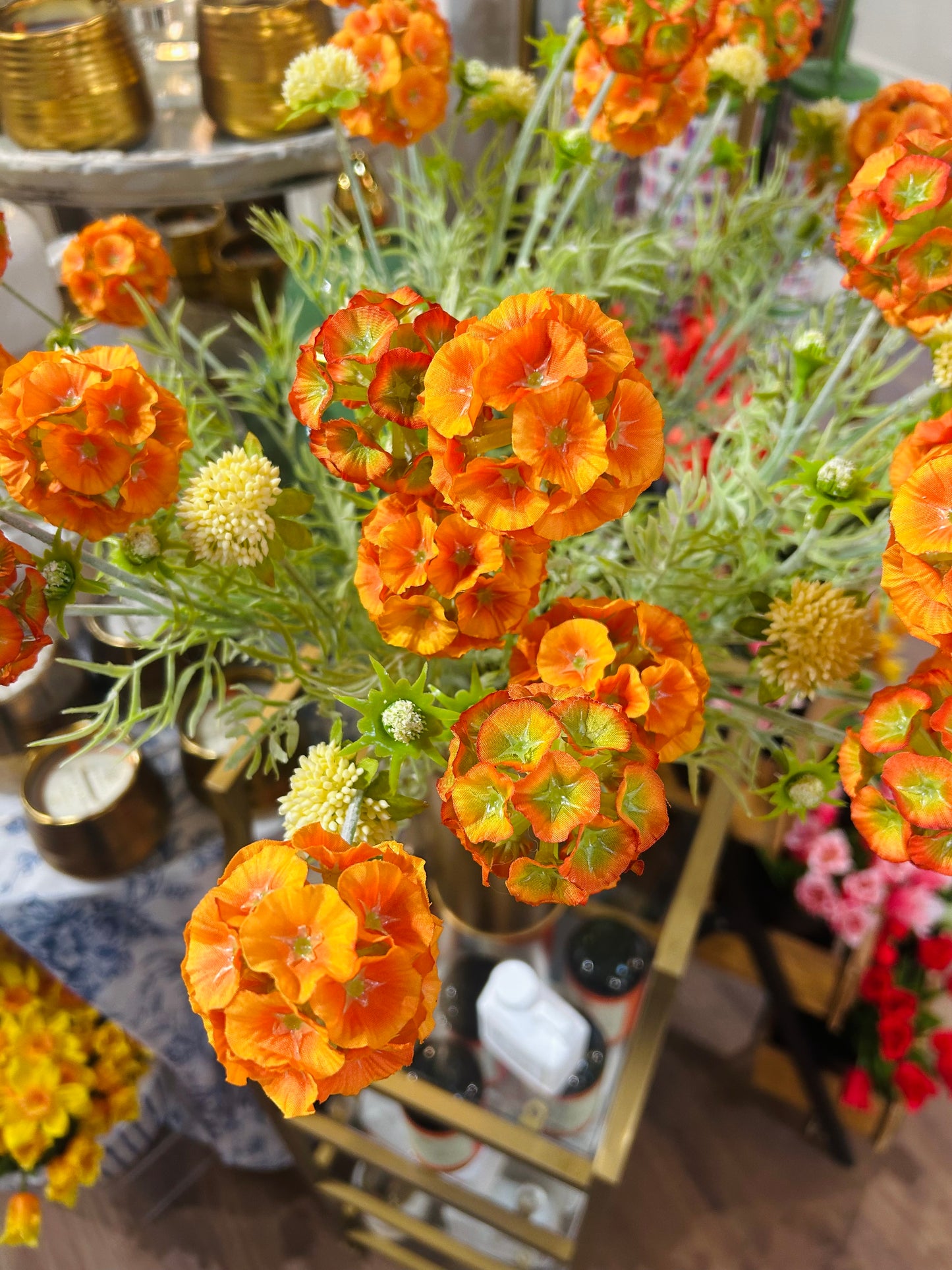 SCABIOSA ORANGE POD SPRAY X4 +BUDS 24"