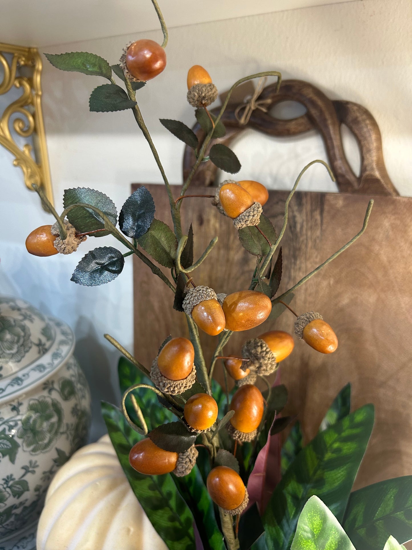 Brown Acorn Stem