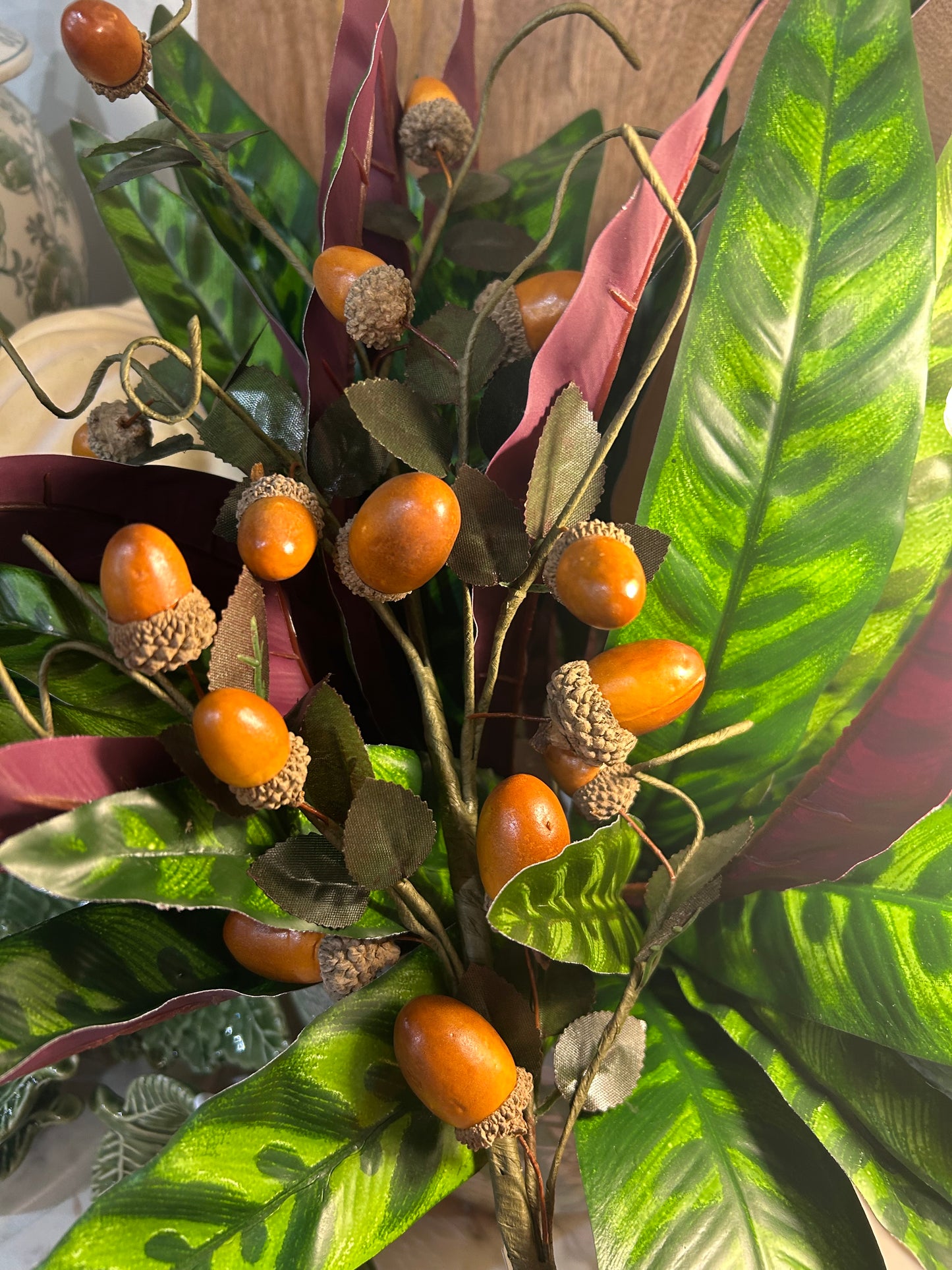 Brown Acorn Stem