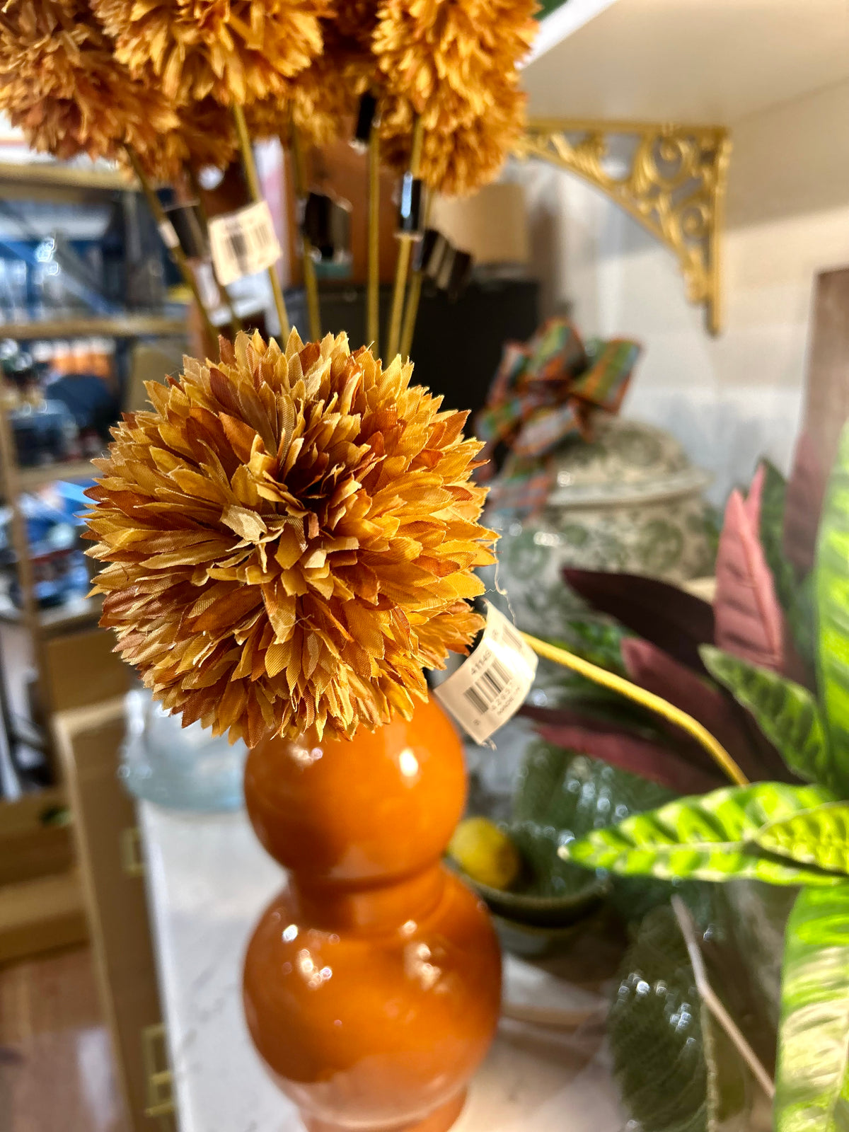 Brown Allium Stem