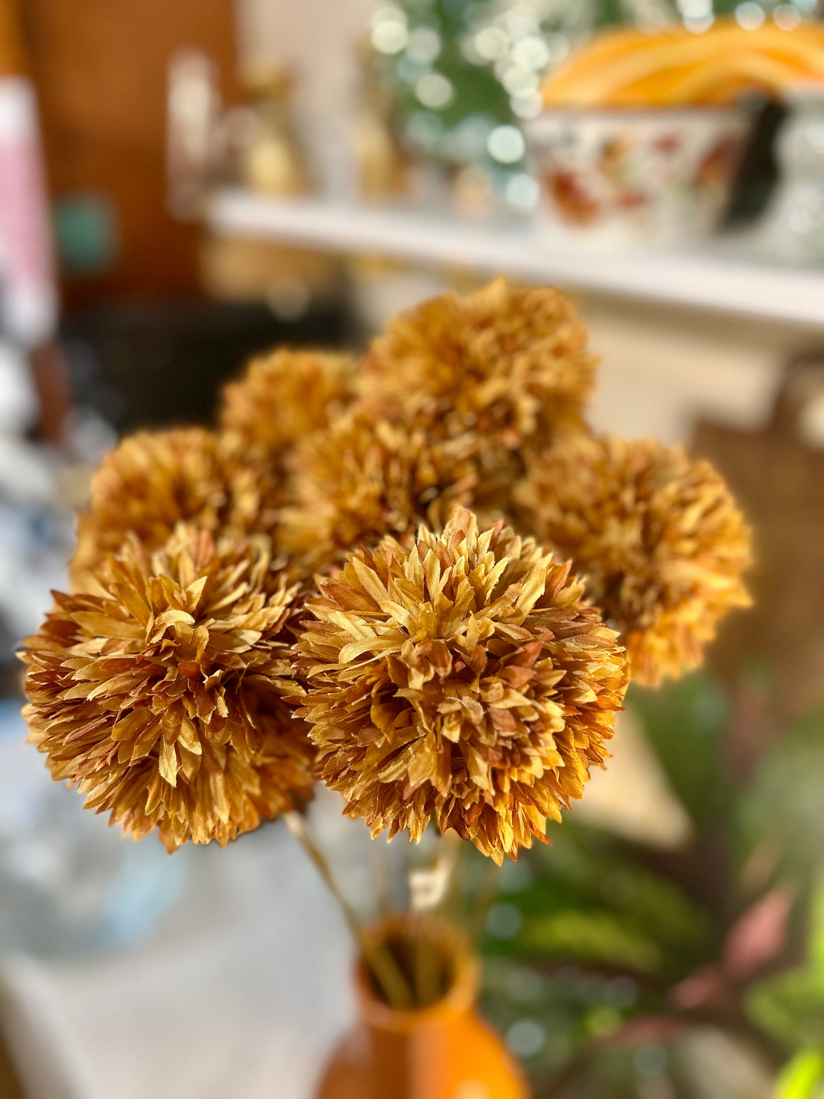 Brown Allium Stem