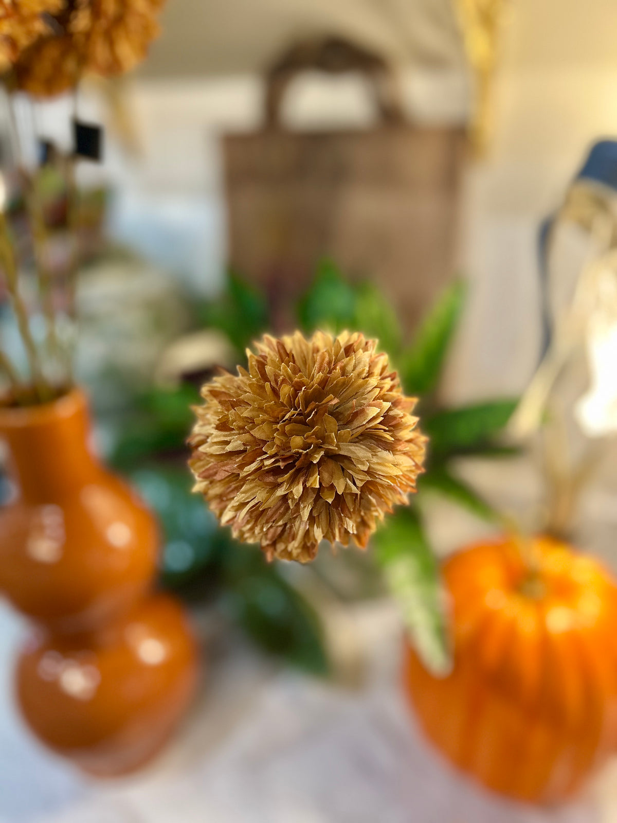 Brown Allium Stem
