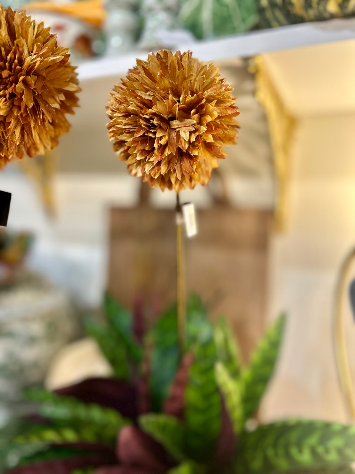 Brown Allium Stem