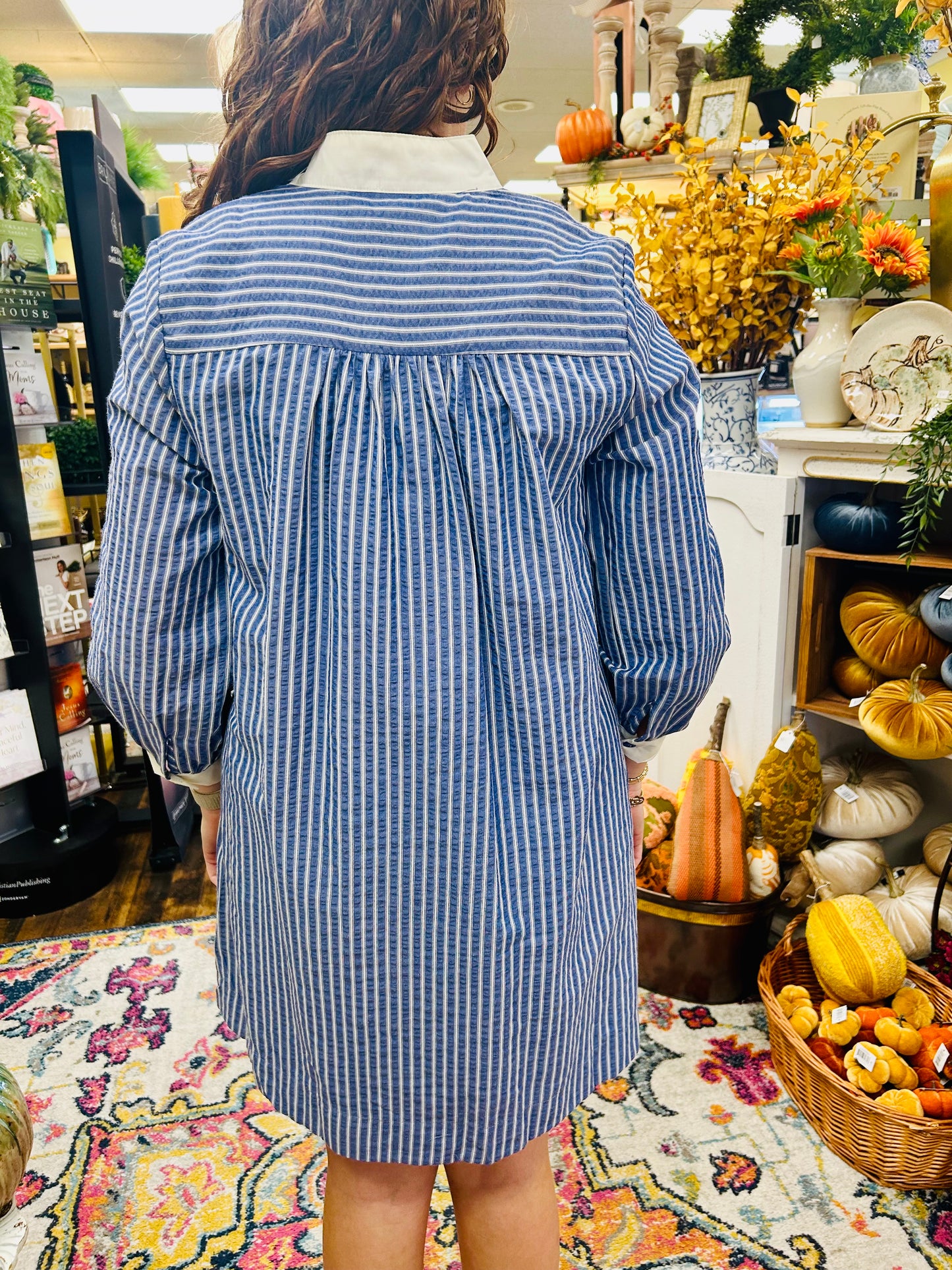 Lizzy Blue Stripe Dress
