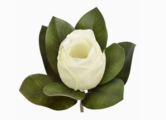 16" Fresh Touch Magnolia Stem