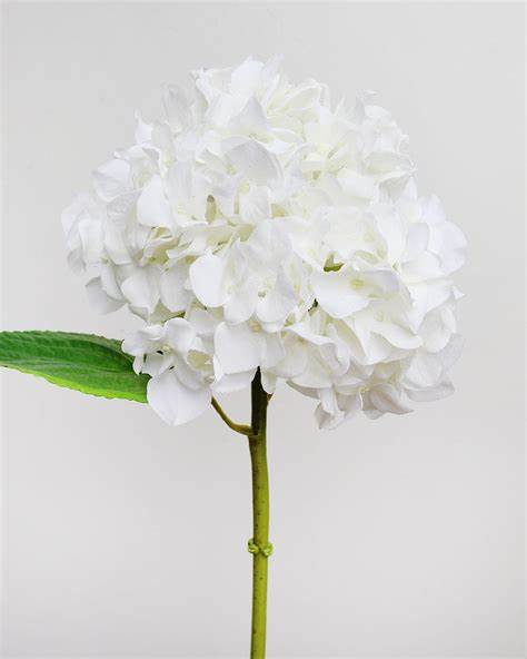20"White Real Touch Hydrangea Steam