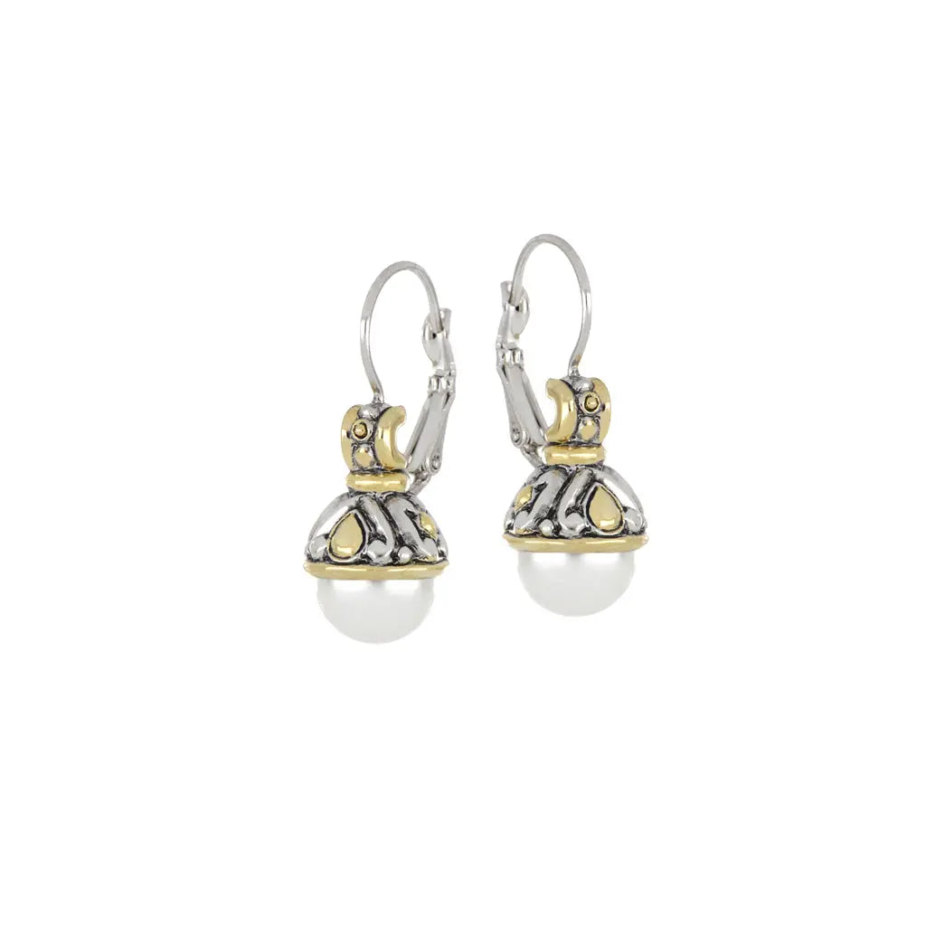 Ocean Images Collection - 10mm French Wire Earrings