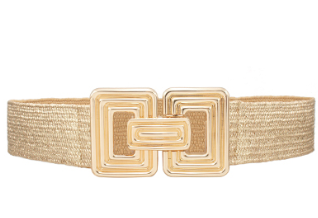 Gold Stretch Belt with Gold Buckle