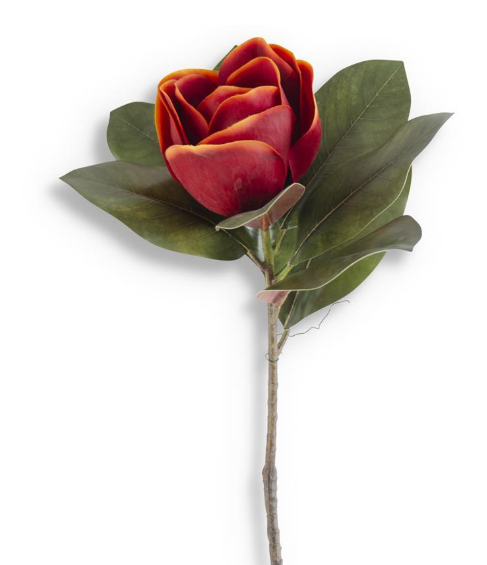 17 inch Orange Magnolia Stem