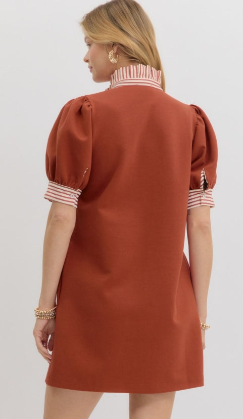 Rust Polo Dress