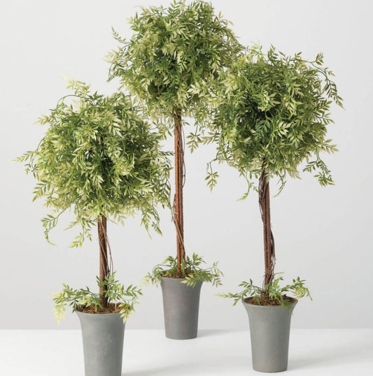 Wisteria Topiary Set of 3