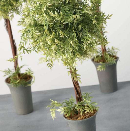 Wisteria Topiary Set of 3