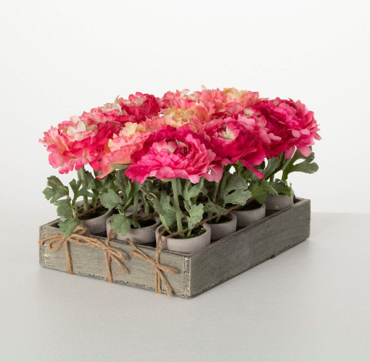 Peony Potted Plant