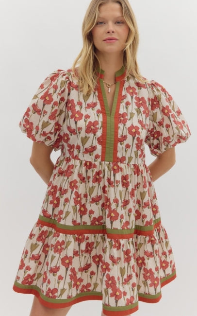 Poppy Floral V-Neck Dress