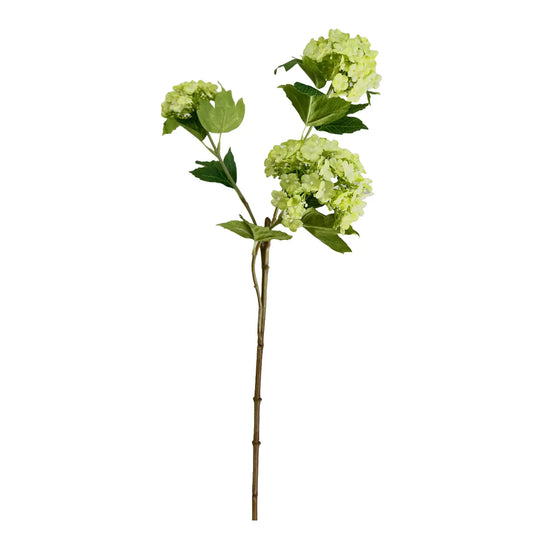 Snowball Hydrangea Spray