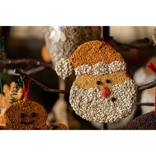 Santa Christmas Cookie
