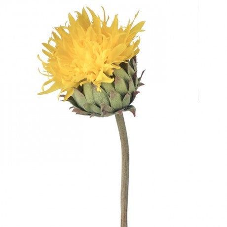 JUST CUT YELLOW CARDOON THSTLE 22"
