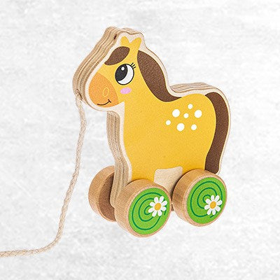 Baby Ganz wooden pull toy