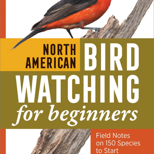 North American Bird Watching for Beginners