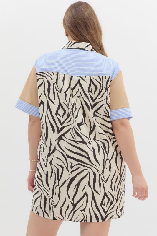 Mini Shirt Dress