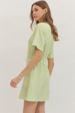 Gingham Check Print Mini Dress - Celery