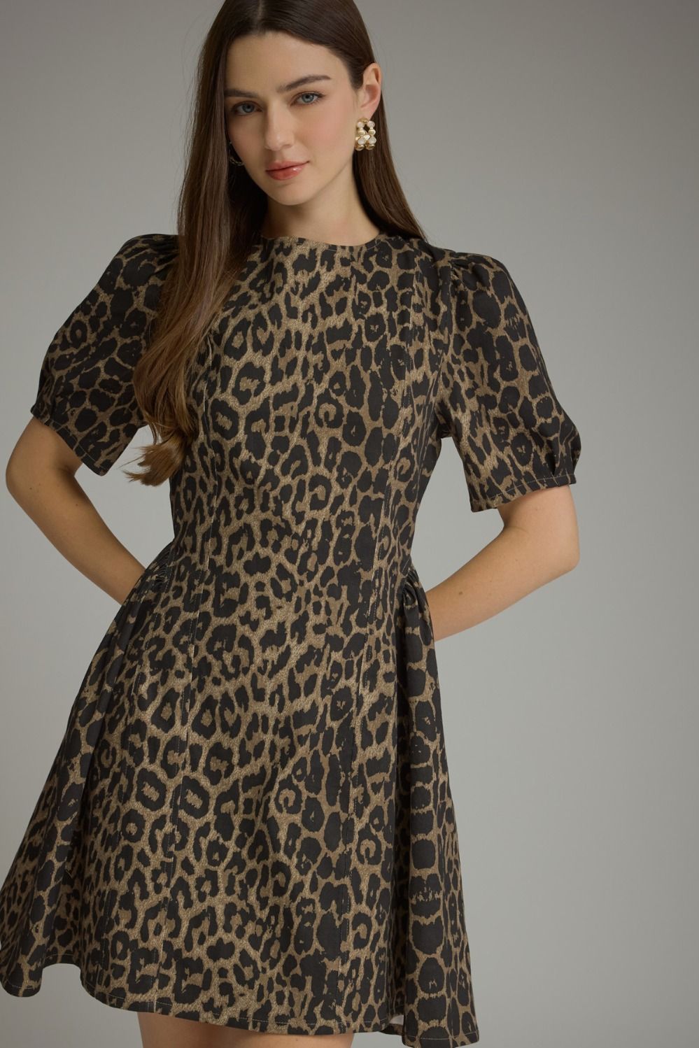 Leopard Puff Sleeve Mini Dress