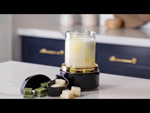 Black & Gold 2-in-1 Spilt Dish Warmer