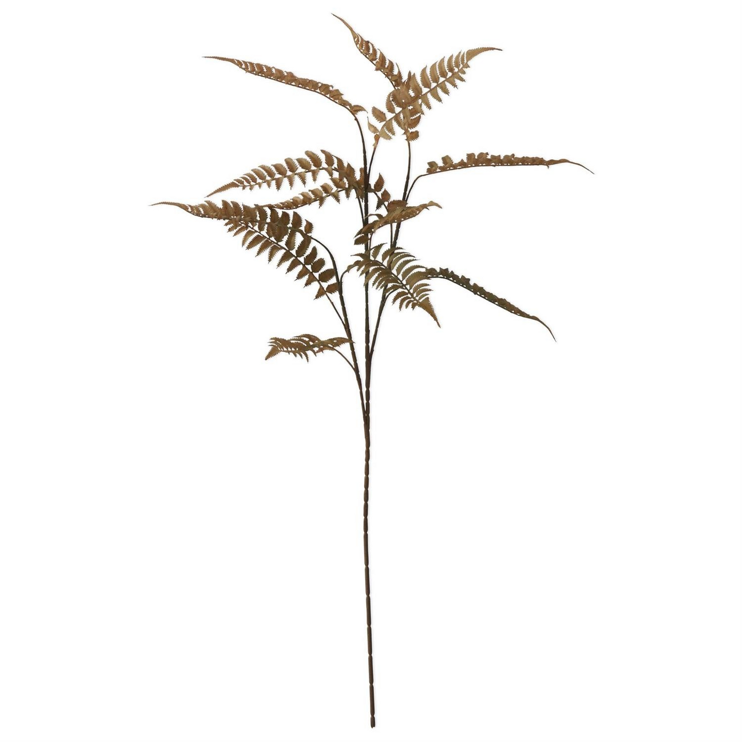 Olive Green Fern Spray