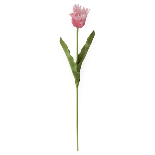 23 Inch Rose Real Touch Parrot Tulip