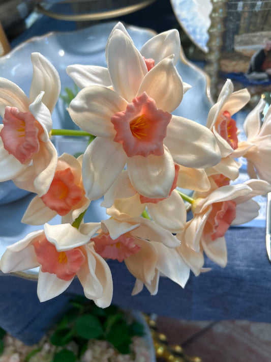 11 inch Peach Real Touch Daffodil Bundle