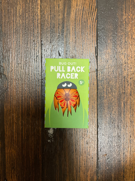 Pull Back Racer Lady Bug