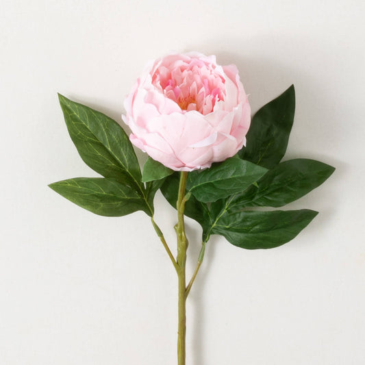 Light Pink Peony Spray