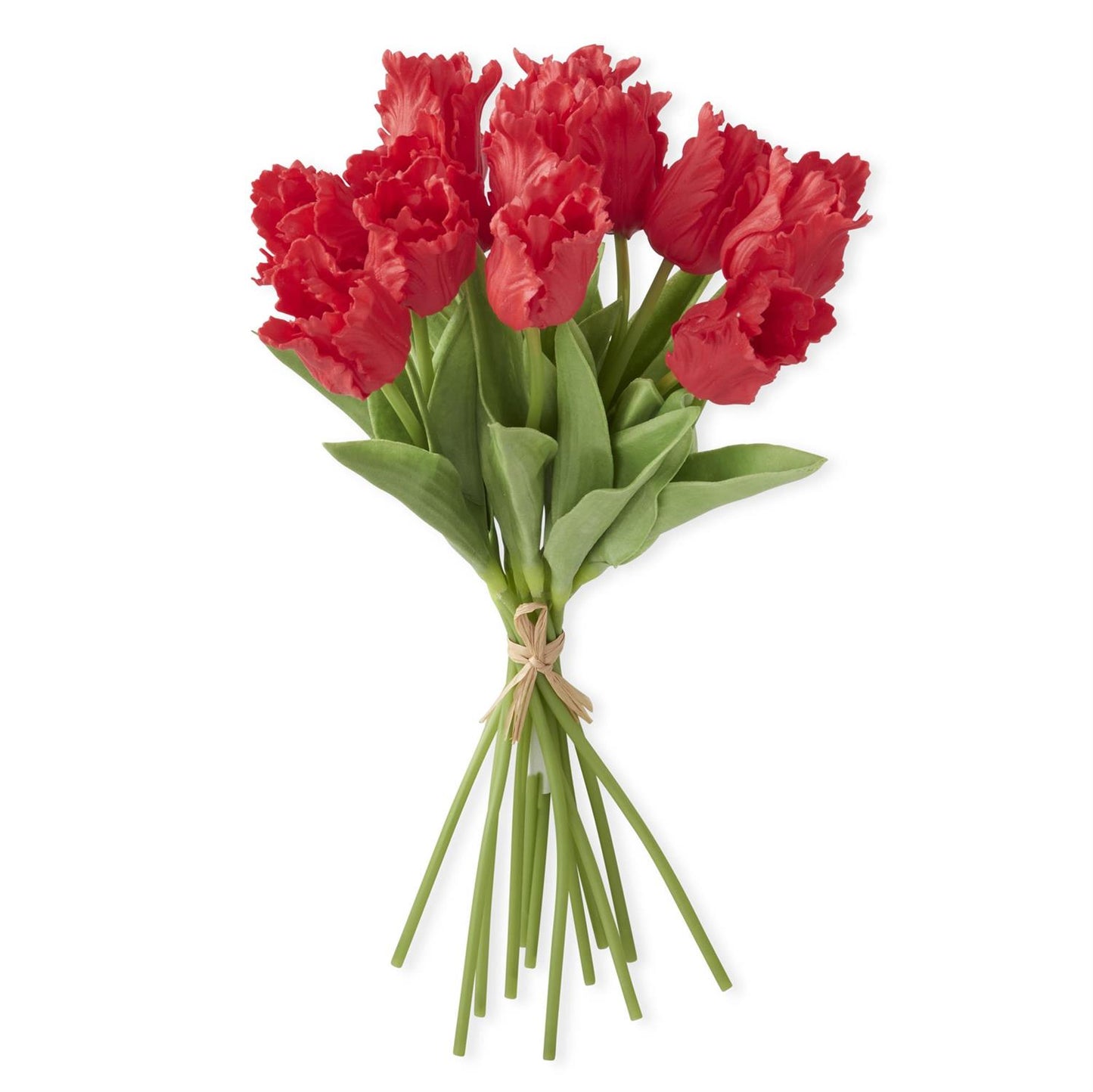13 inch Red Real Touch Parrot Tulip Bundle