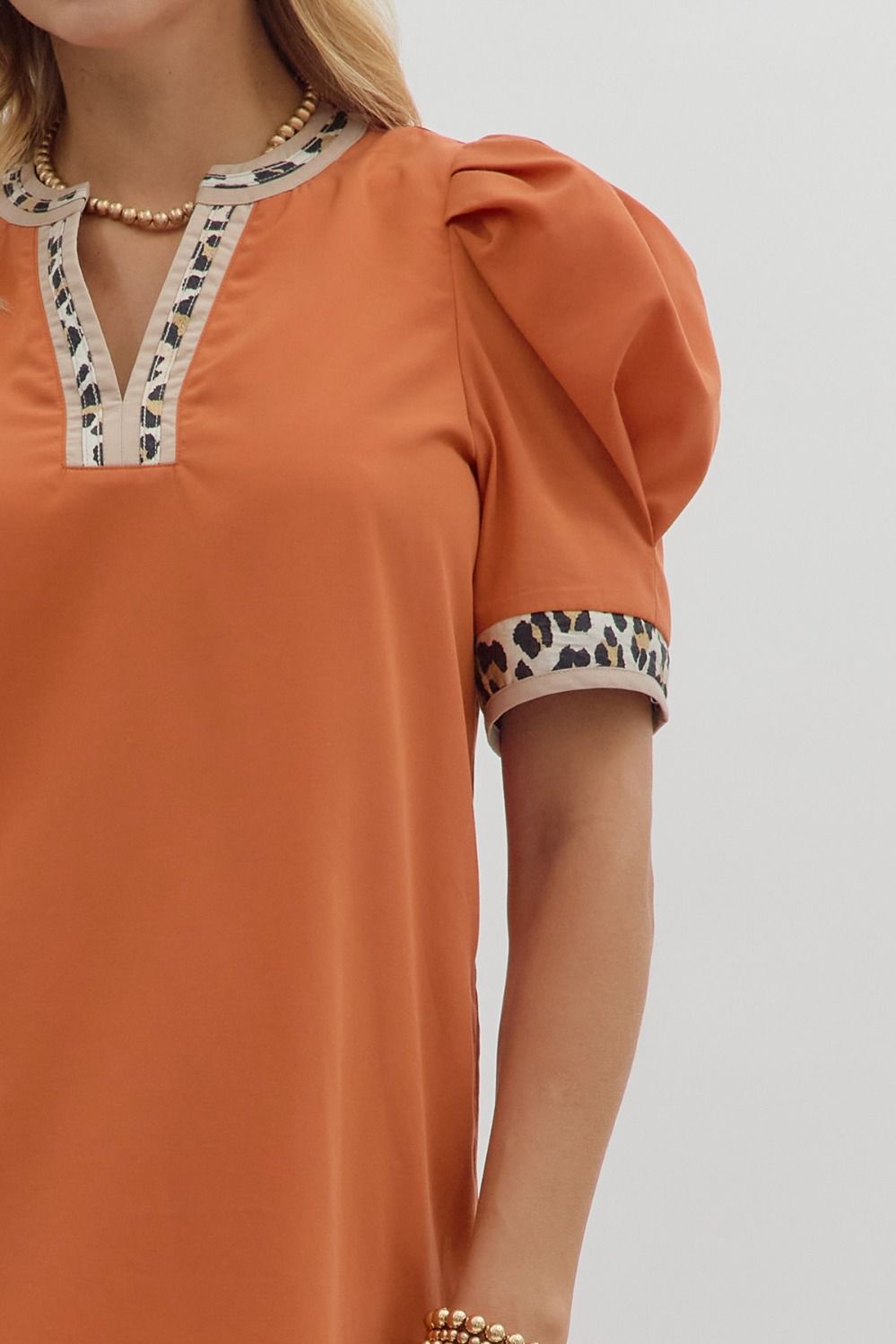 Terracotta Leopard Print Dress