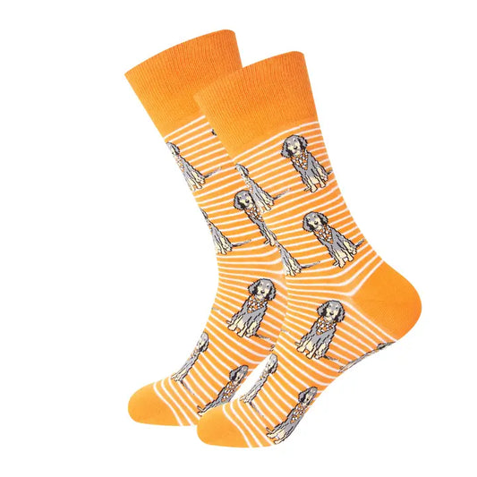 Sitting Bluetick Coonhound