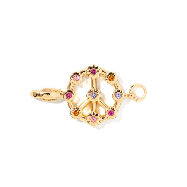 Charm Collective Icon Charm