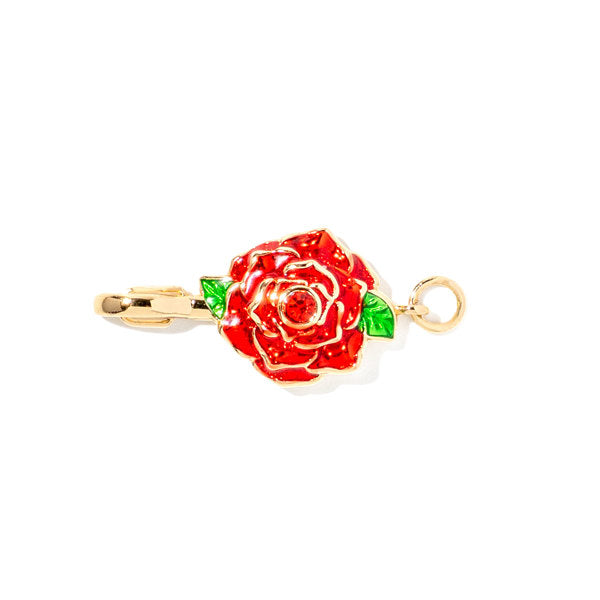Charm Collective Icon Charm